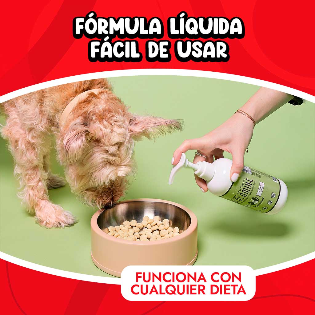 Glucosamina para perros líquida vendida en Dogytoon.