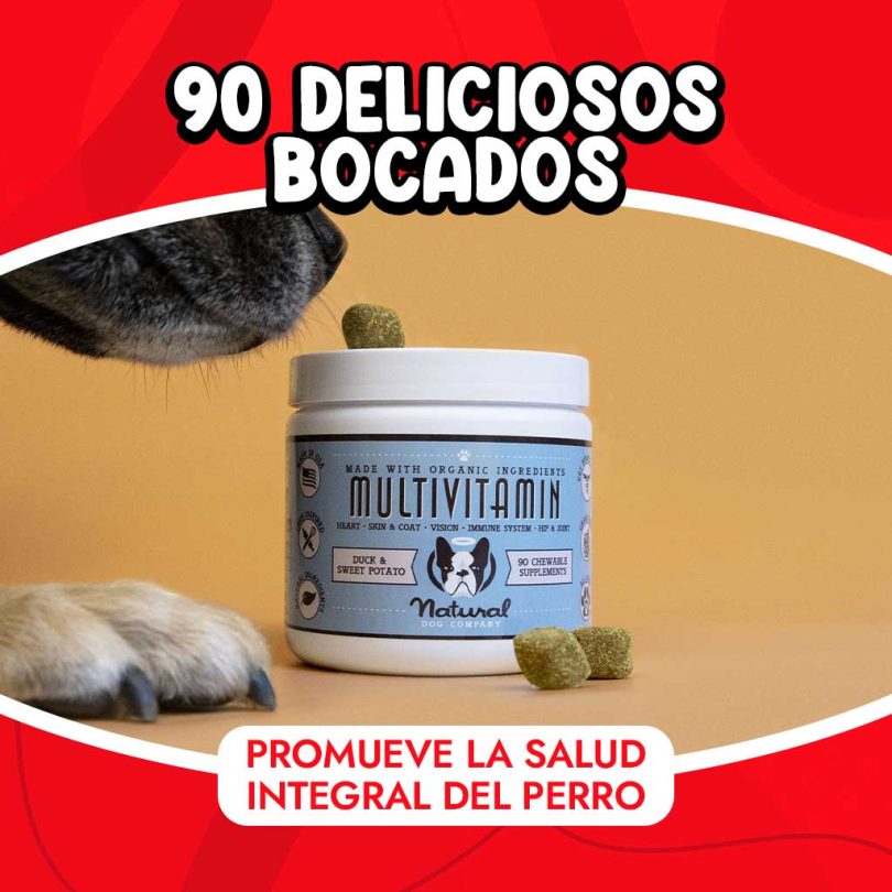 Las vitaminas para perros viene en 90 masticables.