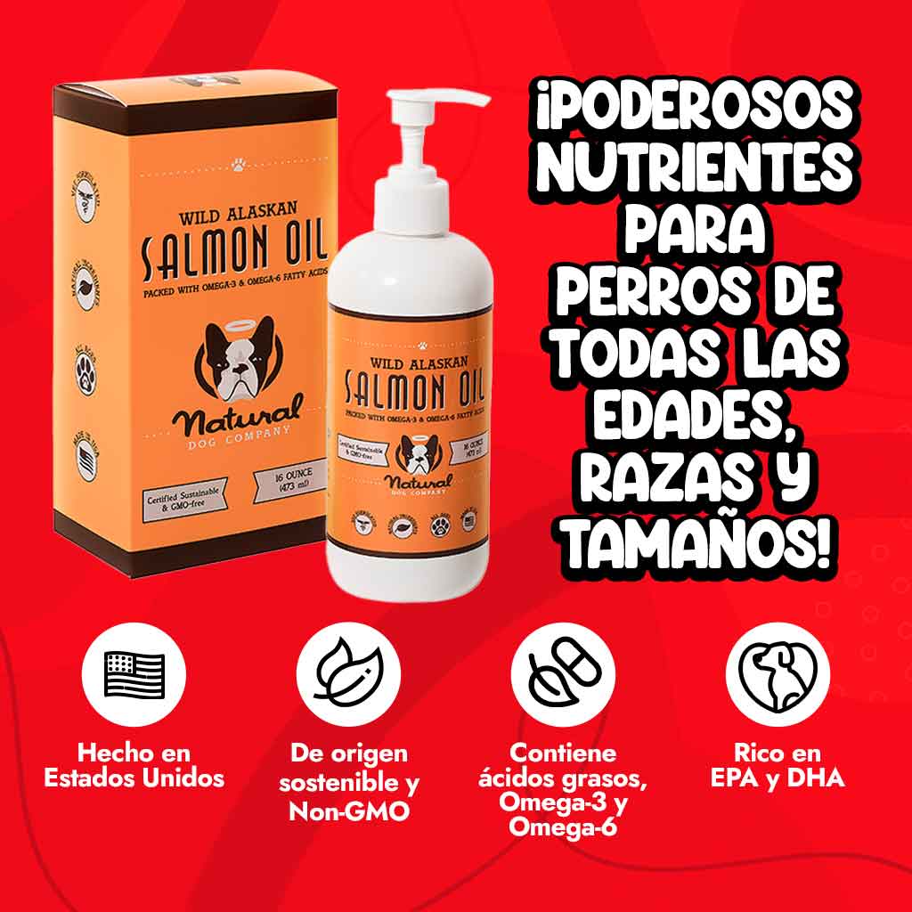 Características del aceite de salmón para perros