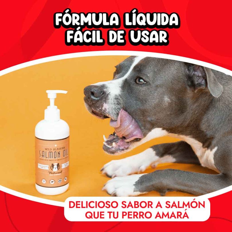 Usos del aceite de salmón para perros