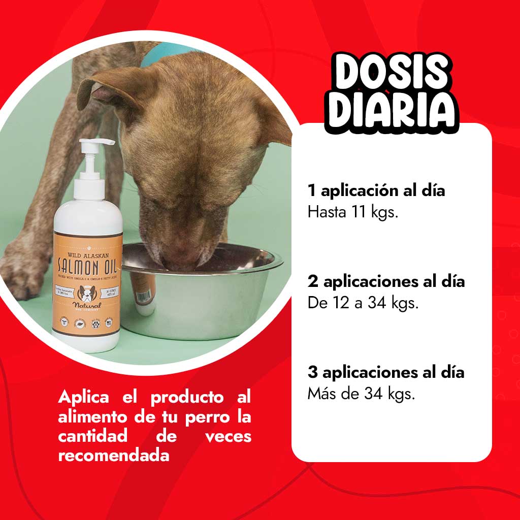 Dosis del aceite de salmón para perros
