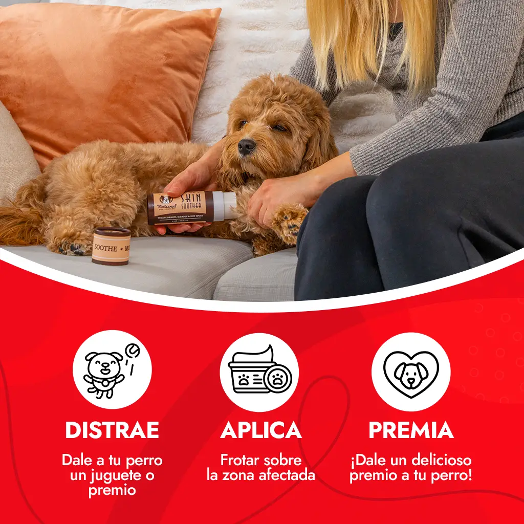Balsamo para la piel como aplicar a tu perro Cómo debes aplicar el bálsamo para la piel de perros
