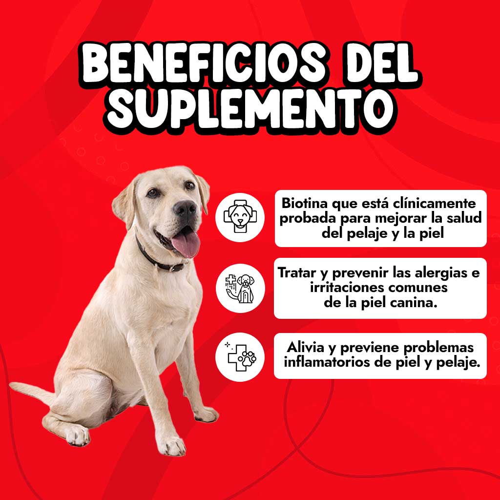 Natural-Dog-Company---Skin-and-Coat-Supplement-Presentación-3