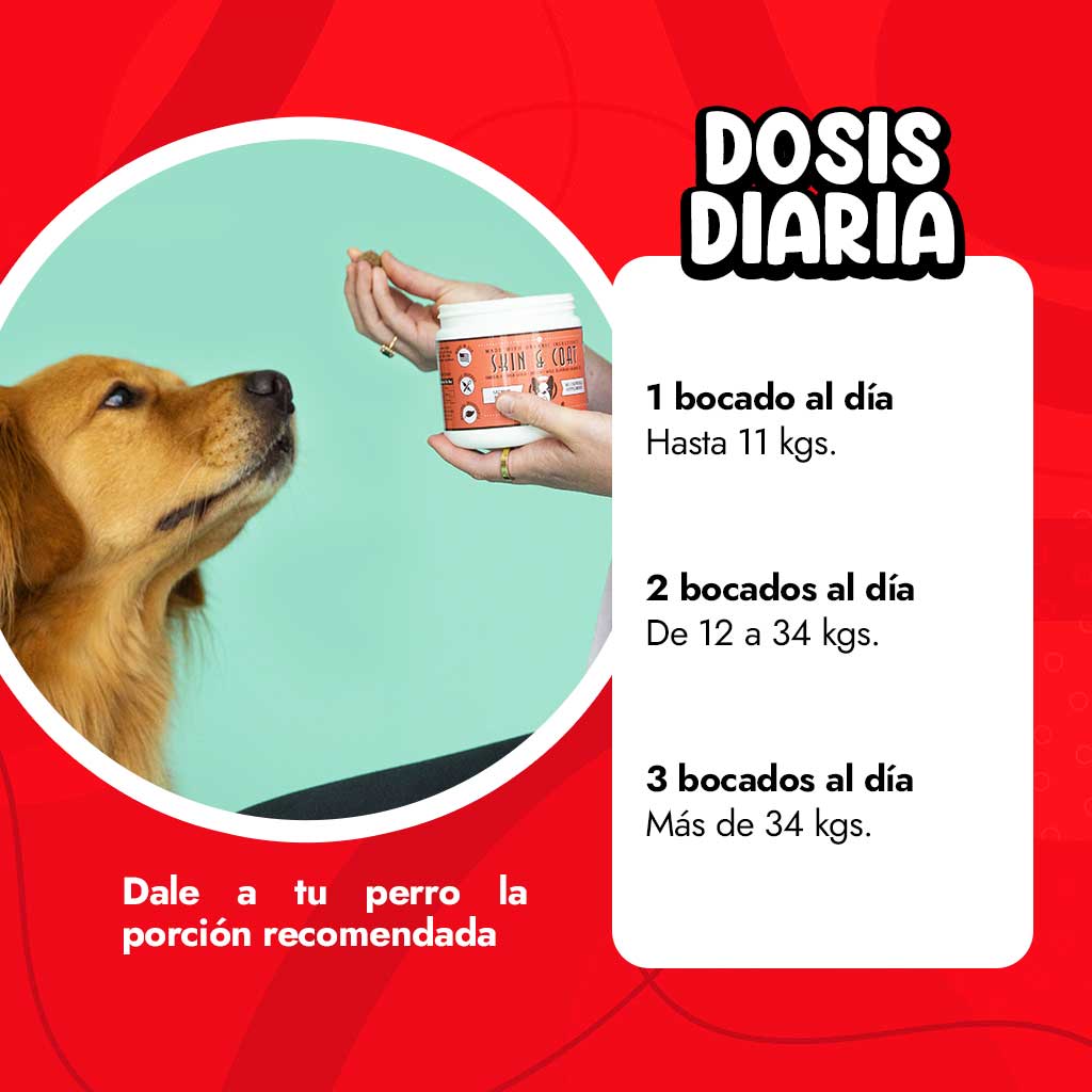 Natural-Dog-Company---Skin-and-Coat-Supplement-Presentación